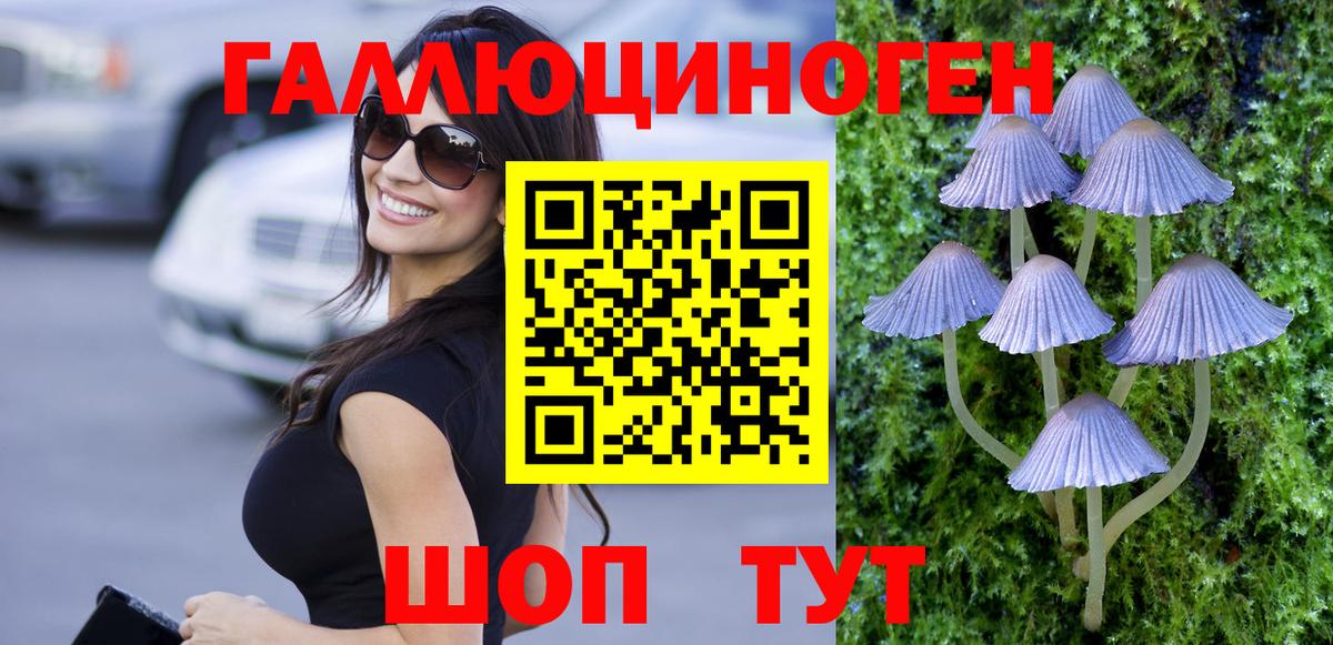 Псилоцибиновые грибы Psilocybe Отрадное